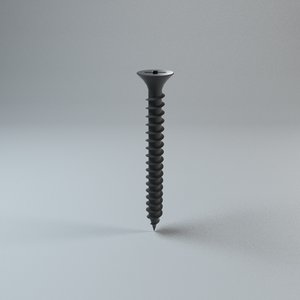 3D model screw drywall
