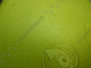 01V 0001.JPG