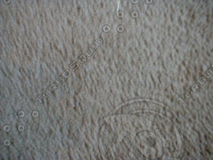 carpet22.jpg