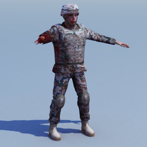 3d army casualty model