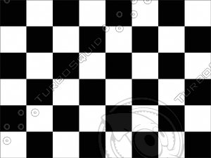 Checkered flag