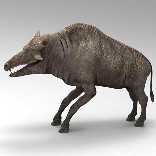 Entelodont Pigs 3d Model