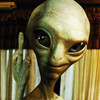 member avatar