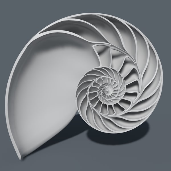 3d-nautilus-shell-cut