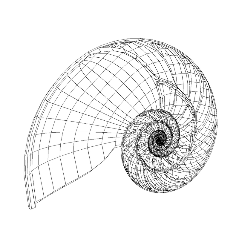 3d nautilus shell cut