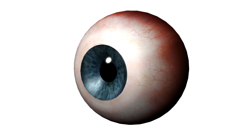 3d model of human eye