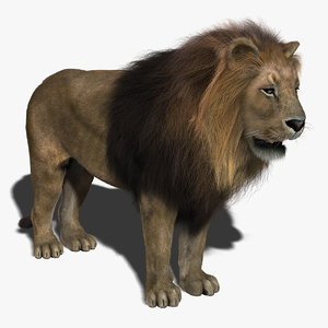 3d lion fur