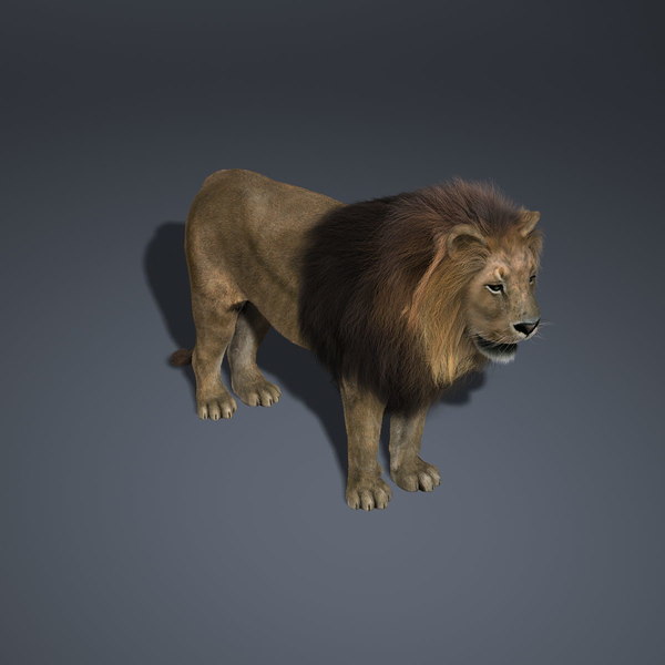 3d lion fur