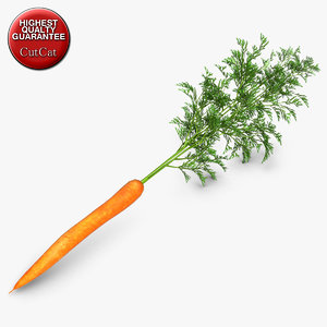 3d model of carrot vegetable