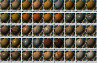 VrayWoodsSet_45x