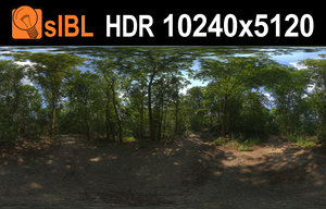 HDR 114 Forest