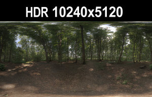 HDR 116 Forest