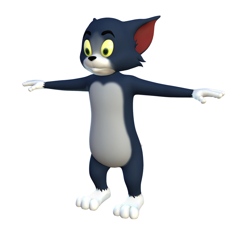 tom character 3d max