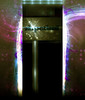 member avatar