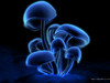 member avatar