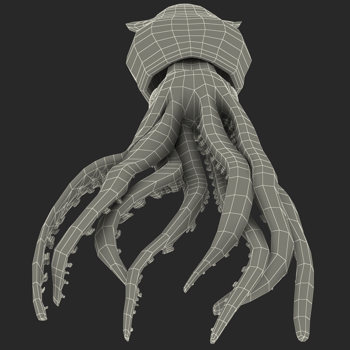 fresh squid 3d model