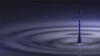 member avatar