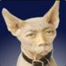 member avatar