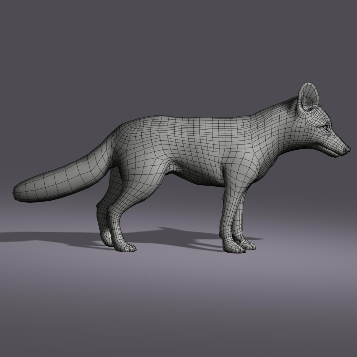 狐狸（动画）（FUR）3D模型 - TurboSquid 802998