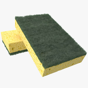 sponge cleaning 3d max