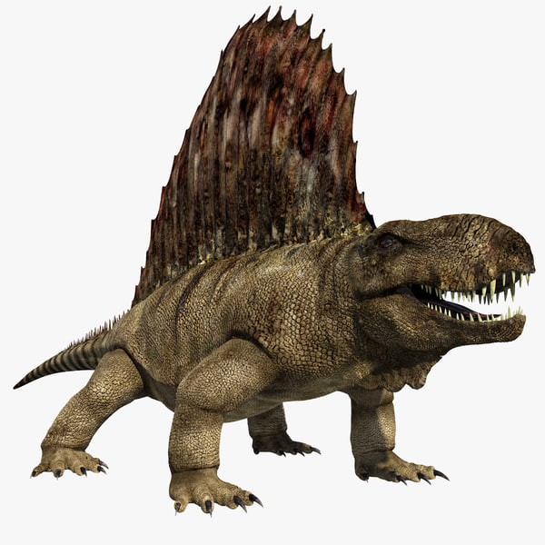 dinosaurs like dimetrodon