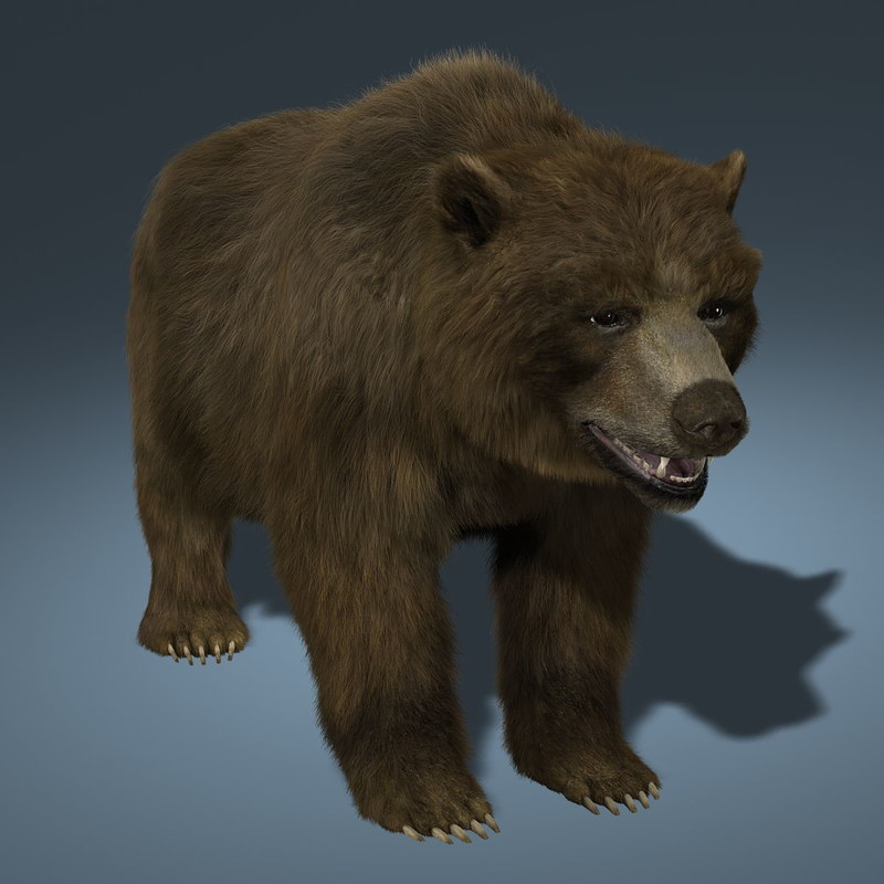 3d model bear fur