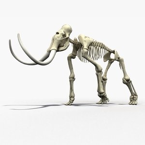 mammoth skeleton bone max