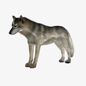 realistic wolf 3d 3ds
