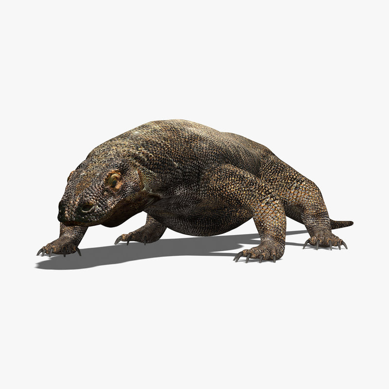 photorealistic komodo dragon 3d model