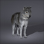 wolf fur 3d model