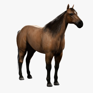 realistic horse 3d model