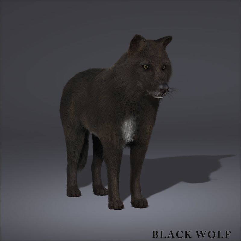 black wolf fur 3d model