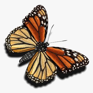 maya photorealistic monarch butterfly