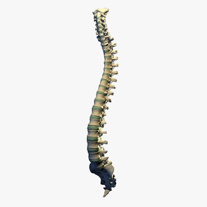 maya human spine