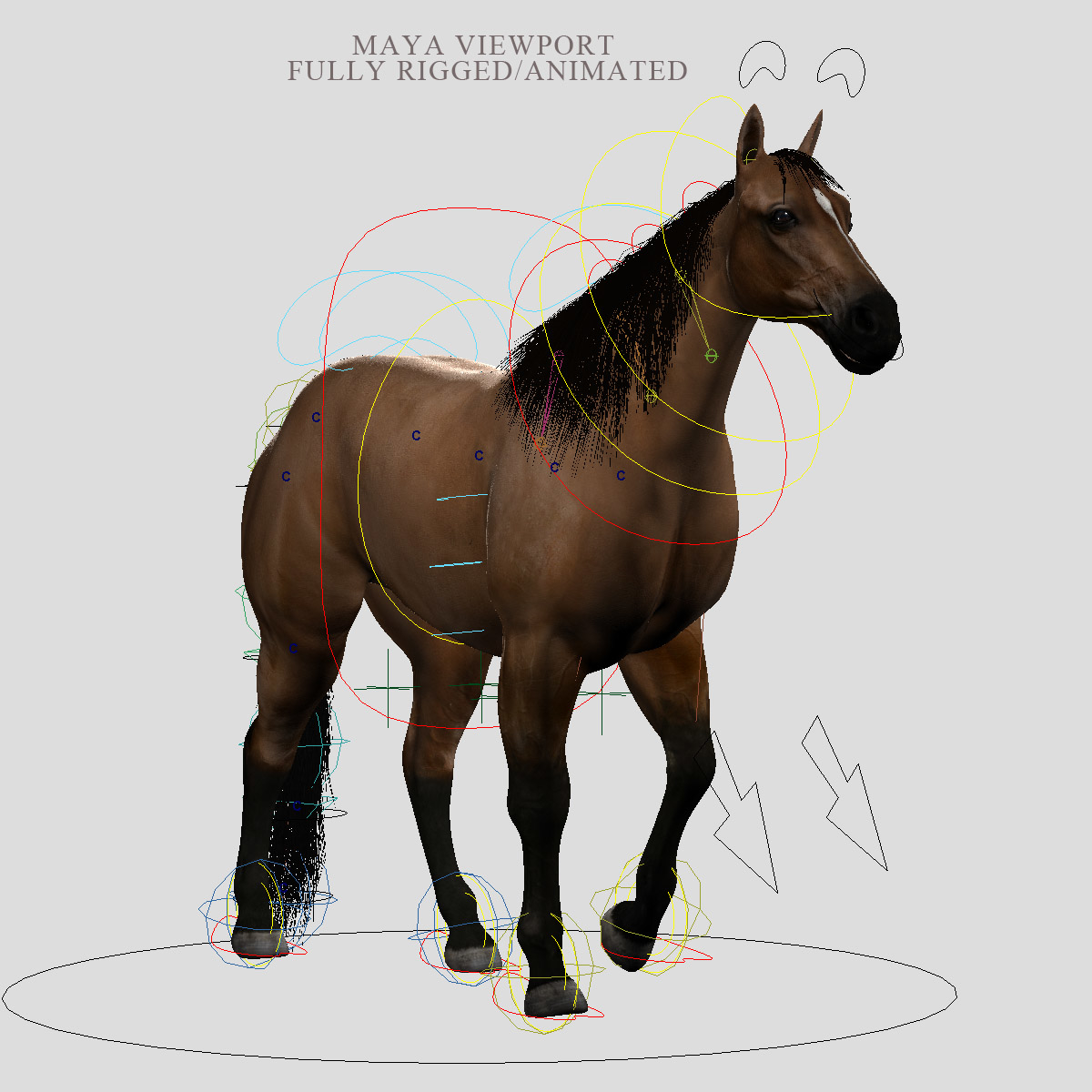 maya realistic horse animation