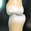 3d teeth molars model