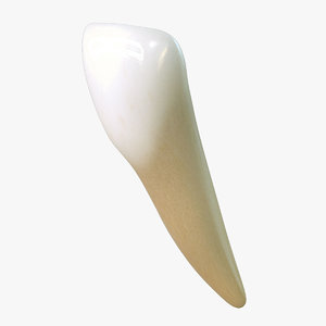 max tooth lower lateral incisor