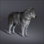 fur animation wolf 3d model
