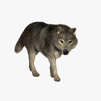 wolf 3d models