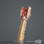 medically human larynx 3d model