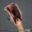 medically human larynx 3d model