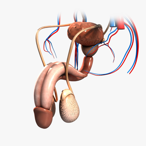 Don't Know Which Kind Of Activity To Take Up? Read These Guidelines!