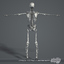 3d human skeletal