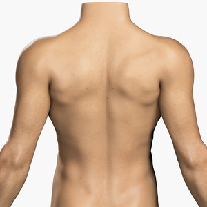 3d model male body