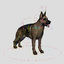 german shepherd fur animations 3d model