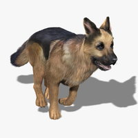 dog 3d models