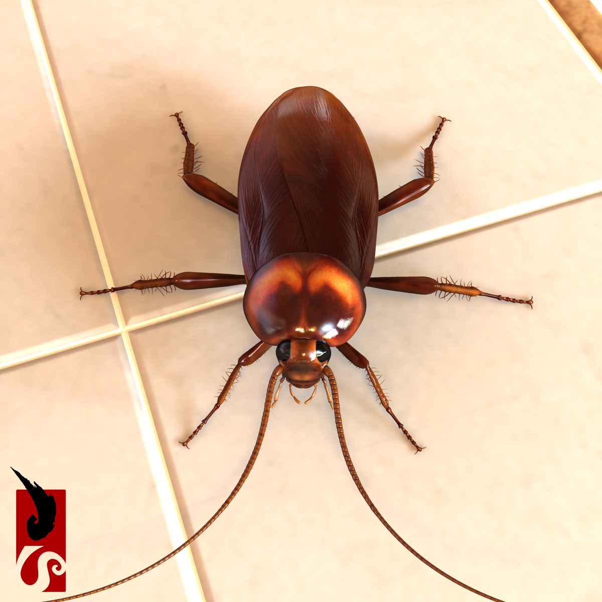 미국 바퀴벌레 - Periplaneta Americana 3D 모델 - TurboSquid 610372 미국 바퀴벌레 - Periplaneta Americana 3D 모델 - Turbosquid 610372