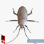 3d american cockroach - periplaneta