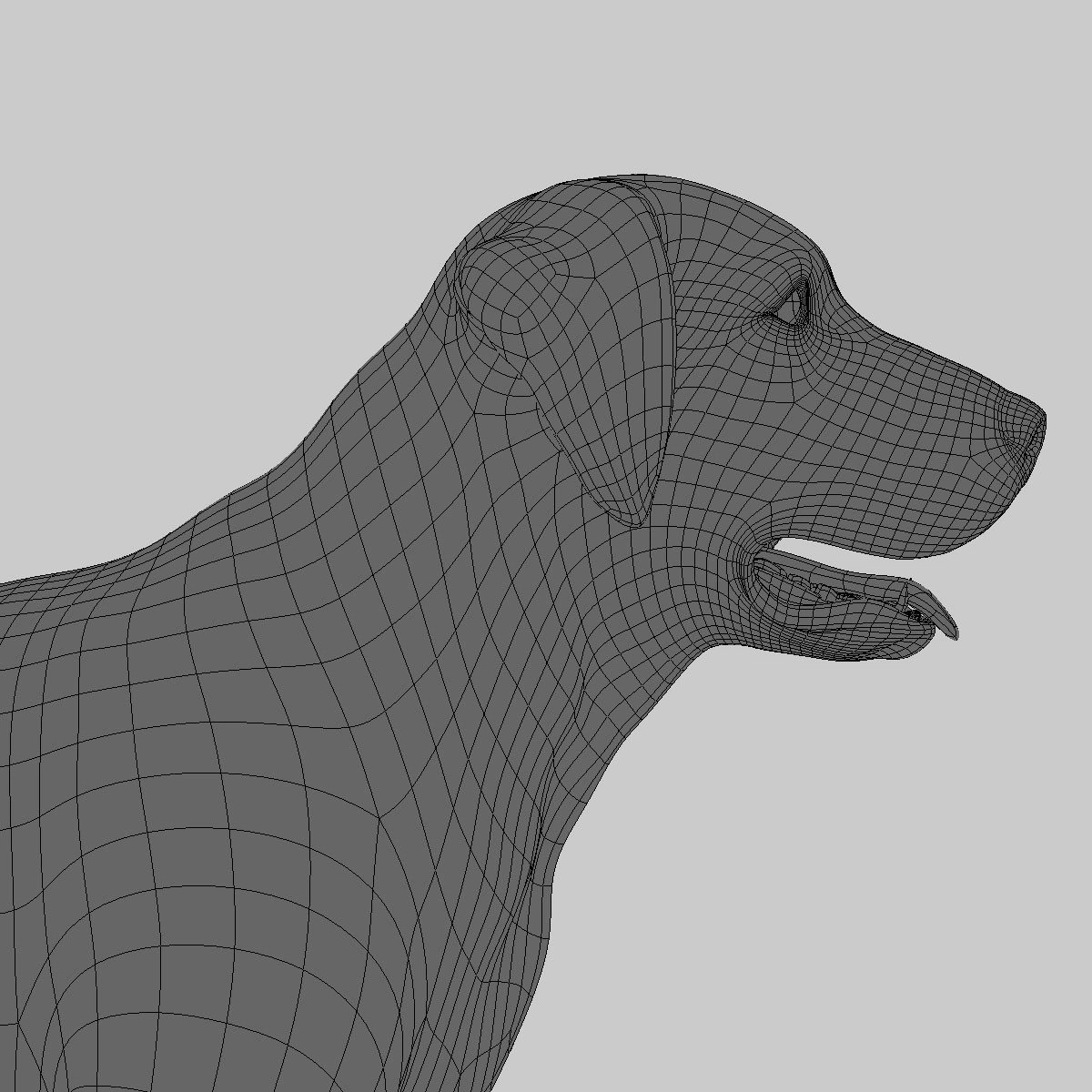 labrador black dog - 3d model