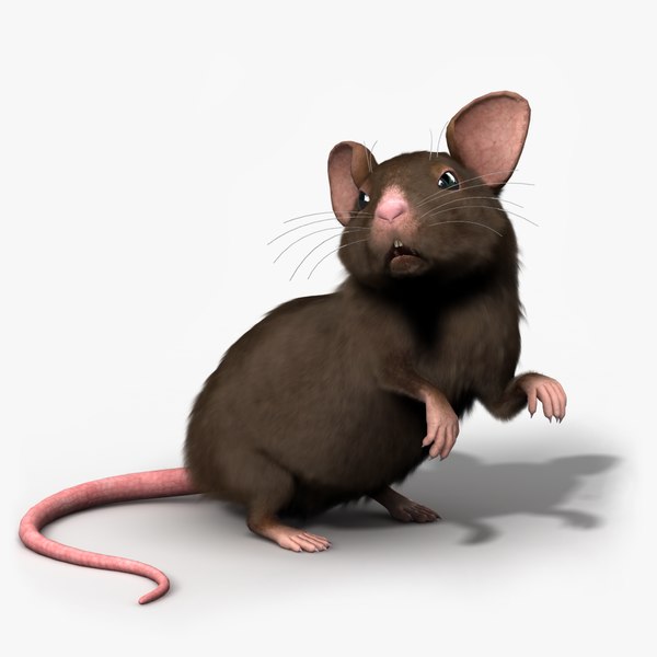 Включи 3 мышей. Мышка 3ds Max. Мышь 3д модель. Мышь 3d модель. Мышь для 3д моделирования.